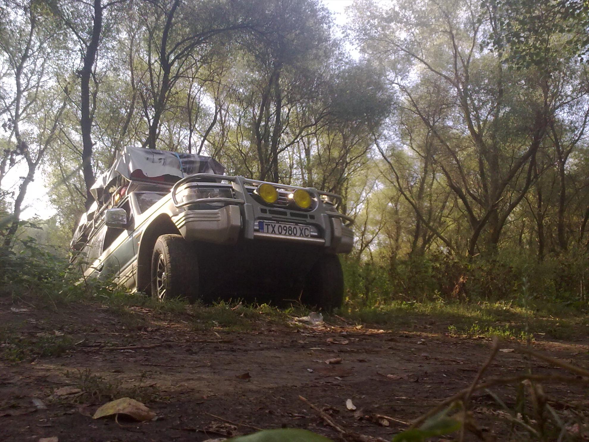 De prin delta adunate - 05092011257.jpg